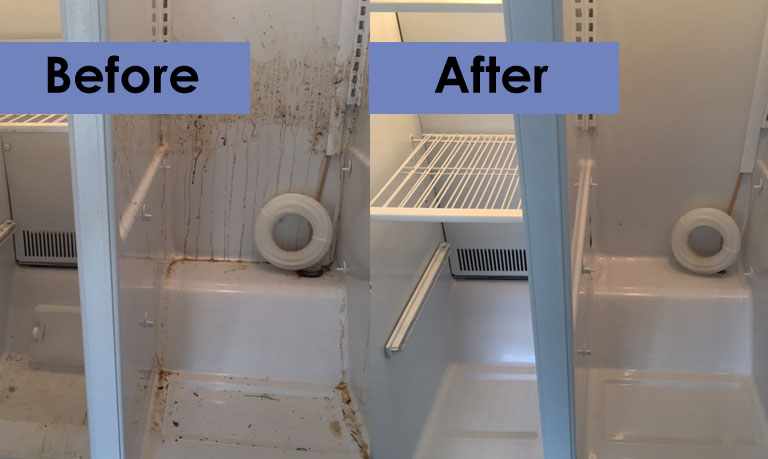 Carpet Cleaning